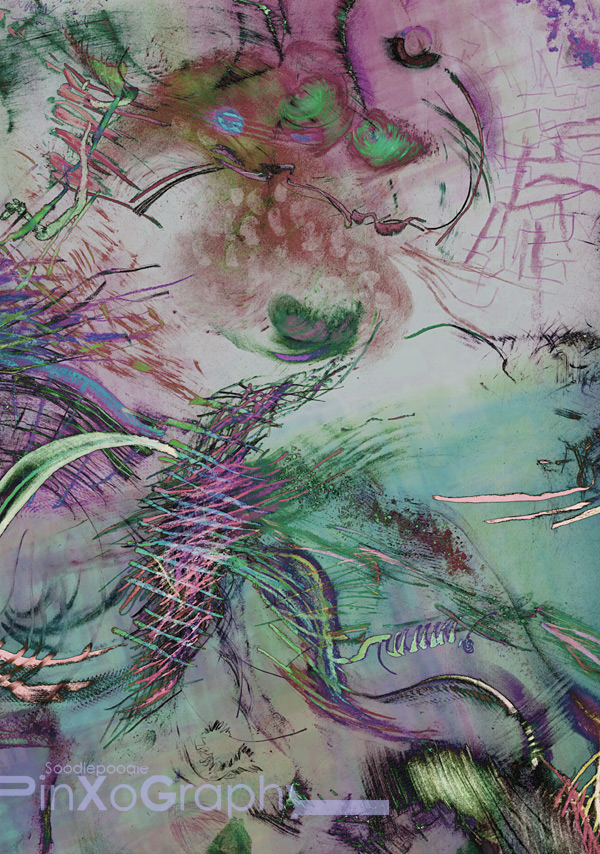 nnn-scanp-170922-535g-r2vnb