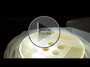moviepoodle_1040431